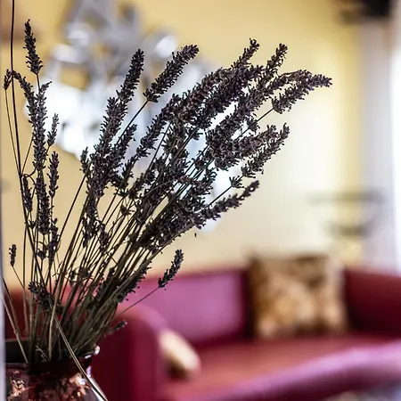 Hotel apartamentowy Le Dupe