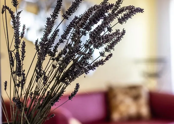 Appart hôtel Le Dupe