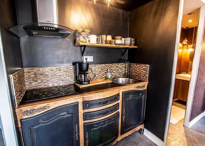 Le Dupe Appart hôtel 3*